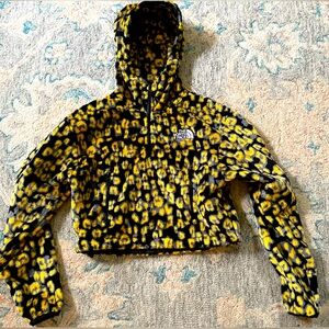 THE NORTH FACE Osito 1/4 Zip Cropped Hoodie Size XS
